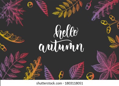 Autumn lettering calligraphy phrase - Hello Autumn. Invitation Card with Hand made motivation quote with hand drawn leaves in sketch style.  Vector design