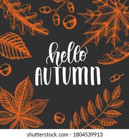 Autumn lettering calligraphy phrase -hello autumn. Invitation Card with Hand made motivation quote with hand drawn leaves in sketch style.  Vector design