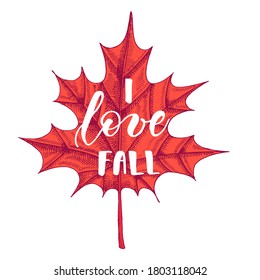 Autumn lettering calligraphy phrase - I love Fall. Invitation Card with Hand made lettering. Sketch, Vector design Hand drawn colored chestnut leaf. Engraving illustration. 