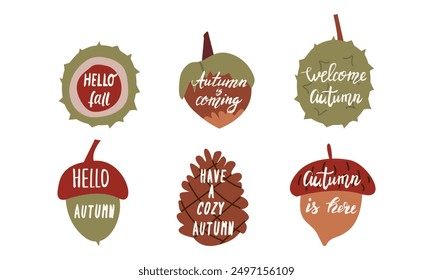 Autumn lettering with cute and cozy design elements decorative bundle. Hand drawn lettering vector set. Fall season handwritten quotes stickers pack. Fall inscription collection isolated on white