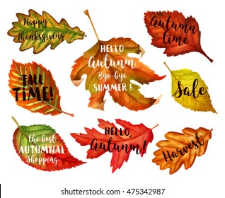 Autumn lettering. Fall leaf typographic background. Vector illustration EPS 10