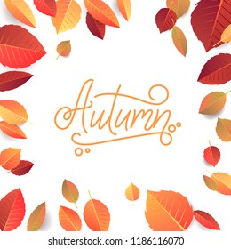 Autumn Lettering. Hand Written Typography on White Background. Vector Leaves Illustration for Your Design.