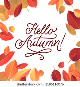 Autumn Lettering. Hand Written Typography on White Background. Vector Leaves Illustration for Your Design.