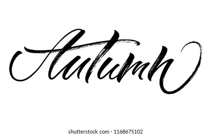 Autumn lettering. Handwritten modern calligraphy, brush painted letters. Vector illustration. Template for poster, flyer, greeting card, invitation and various design products