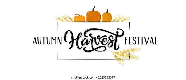 Autumn lettering Harvest Festival with pumpkin drawing. Modern brush calligraphy. Handwritten vector illustration isolated on white background for cards, posters, banners, logo, tags.