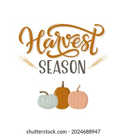 Autumn lettering Harvest Season with pumpkin drawing. Modern brush calligraphy. Handwritten vector illustration isolated on white background for cards, posters, banners, logo, tags.