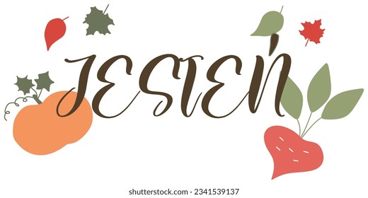 Autumn lettering po polsku. Vector editable illustration. Color leaves, pumpkin and beet isolated on white background. Design element for poster, harvest festival decoration, banner, card, t-shirt.
