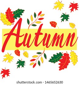 Autumn. Lettering text framed from autumn colored leaves on a white background. vector illustration for design