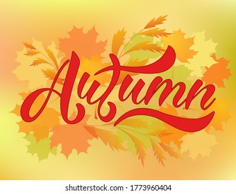 Autumn lettering typography. Modern calligraphy vector illustration on the textured background as poster, postcard, card, invitation template. Concept seasons greetings, advertising