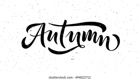 Autumn lettering typography. Modern calligraphy vector illustration on the textured background as poster, postcard, card, invitation template. Concept seasons greetings, advertising