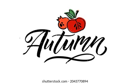 Autumn lettering typography vector illustration. Autumn icon, and badge or poster, banner with signature. Apple, leaves, pomergranate. Autumn template for postcard, invitation, card.