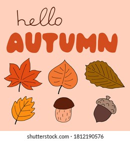 Autumn lettering, vector illustration. Hand drawn calligraphy composition with mushroom and orange leaves. Fall card, hello autumn. Typography, lettering, handwritten phrase for cards, banner, poster