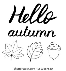 Autumn lettering, vector illustration. Hand drawn calligraphy composition with acorn and fallen leaves. Fall card, hello autumn. Typography, lettering, handwritten phrase for cards, banner, poster
