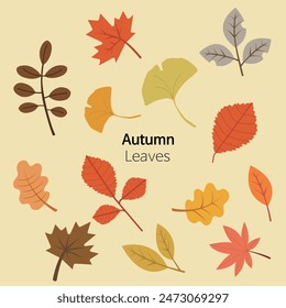 autumn leves and autumn season