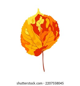 Autumn linden leaf. Leaf fall. Vector illustration.