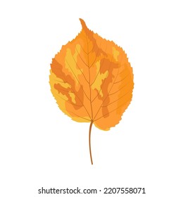 Autumn linden leaf. Leaf fall. Vector illustration.