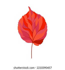 Autumn linden leaf. Leaf fall. Vector illustration.