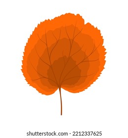 Autumn linden leaf. Leaf fall. Vector illustration.