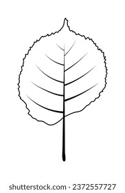 Autumn linden leaf. Autumn leaf fall. Vector illustration.