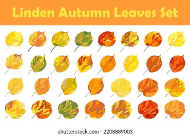 Juego de hojas de linden de otoño. Caída de hojas. Ilustración vectorial.