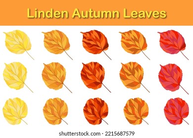 Autumn linden leaf set. Autumn leaves fall. Vector illustration.