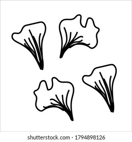 Autumn line art ginkgo biloba leaves. Hello autumn concept. Suitable for collage, postcards, stickers, posters, stamps, logos, labels and more. Modern hand-drawn Vector illustration isolated on white.