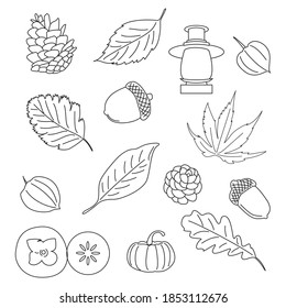 Autumn line icons set. Collection of fall related objects and plants. Seasonal vector symbols.