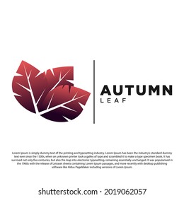 Autumn logo design. Three autumn leaves with gradient vector illustration