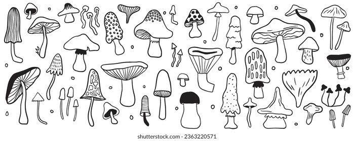 Amor otoñal: Conjunto de doodles de hongos, colección de ilustraciones vectoriales de hongos.