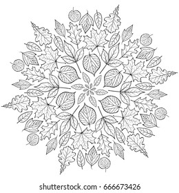 Autumn mandala with autumn leaves on white background. Coloring page for children and adult. Vector illustration.