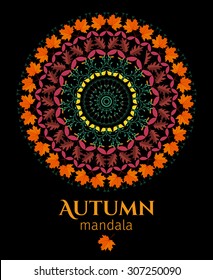 autumn mandala. vector illustration for your design. Leaves lace ornament.