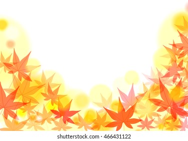autumn maple background