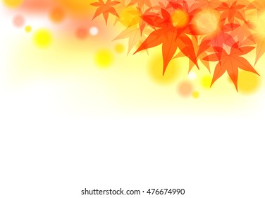 autumn maple background