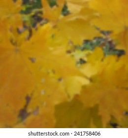 Autumn maple blurred photo background. Vector illustration. Image contains a gradient mesh.