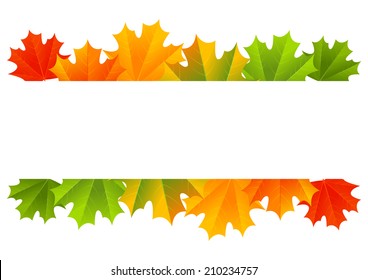 Autumn Maple Border For Your Design