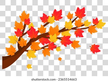 Autumn Maple branch isolated on fake transparent background vector illustration