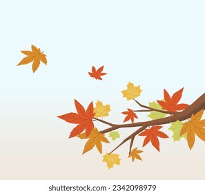 Autumn maple branch with multicolored maple leaves