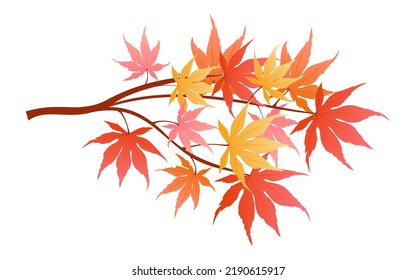 Ramas de Maple de otoño aisladas en ilustración vectorial de fondo blanco