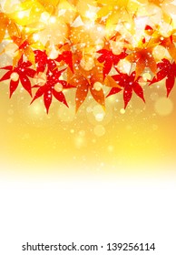 Autumn maple foliage