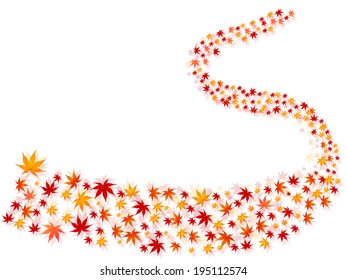 Autumn maple foliage