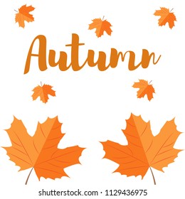Autumn maple leaf