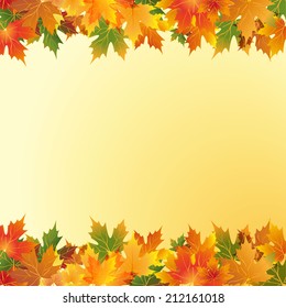 autumn maple leaf