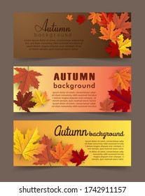 autumn maple leaf background banner