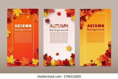 autumn maple leaf background banner