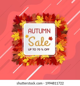 autumn maple leaf background banner