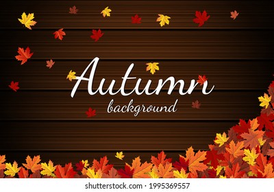 autumn maple leaf background banner