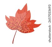 Autumn maple leaf, blackcurrant, viburnum, cucumber, grape wine leaf hand drawn using trendy textures on white background. Autumn, fall leaf, foliage, fallen leaf, thanksgiving