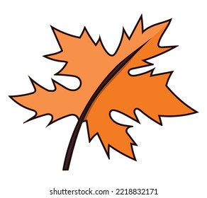 Autumn maple leaf colored doodle vector illustration. Isolated on white background