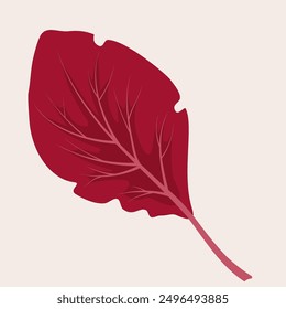 Autumn maple leaf. Decorative autumn foliage. Template for illustrations. Vector illustration