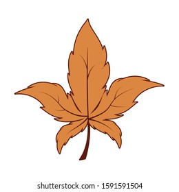 Autumn maple leaf design, season nature ornament garden decoration and botany theme Vector illustration